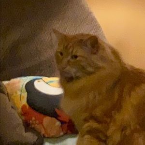 Meet your Posher, Shawn